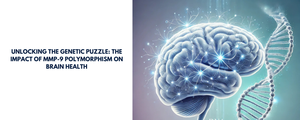 Unlocking the Genetic Puzzle: The Impact of <em>MMP-9</em> Polymorphism on Brain Health