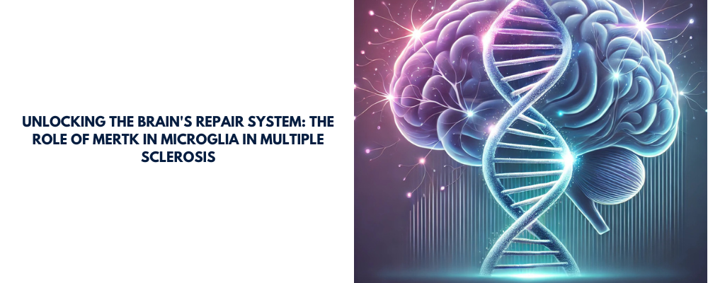 Unlocking the Brain's Repair System: The Role of Mertk in Microglia in Multiple Sclerosis
