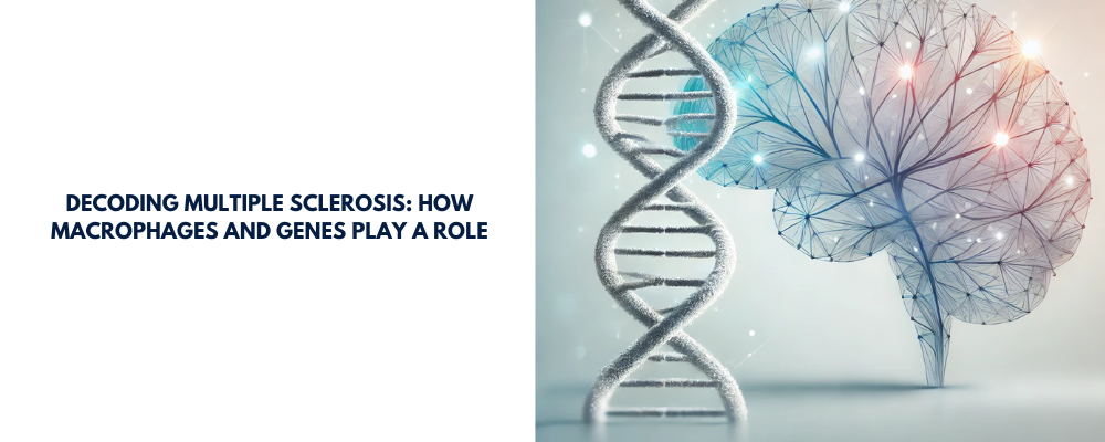 Decoding Multiple Sclerosis: How Macrophages and Genes Play a Role