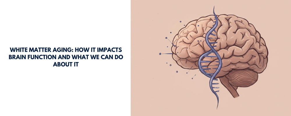 White Matter Aging: How it Impacts Brain Function and What We Can Do About It