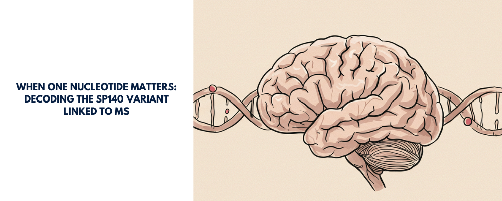 When One Nucleotide Matters: Decoding the SP140 Variant Linked to MS